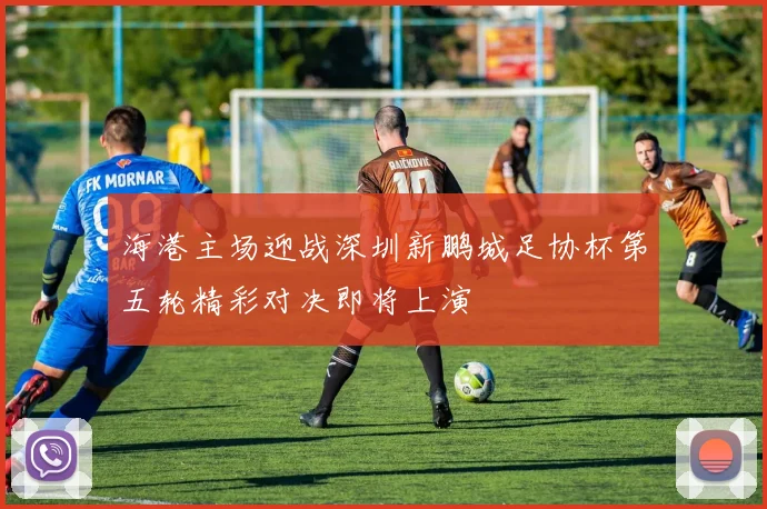 海港主场迎战深圳新鹏城足协杯第五轮精彩对决即将上演
