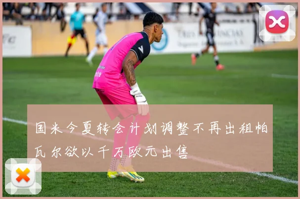 国米今夏转会计划调整不再出租帕瓦尔欲以千万欧元出售